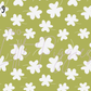 Printed Vinyl - St. Patrick's - Salmon and Green