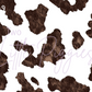 Printed Vinyl - Cowhide Collection