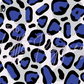 Printed Vinyl - Leopard Rainbow