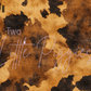 Printed Vinyl - Cowhide Collection