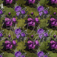 Printed Vinyl - Halloween Floral Collection