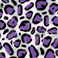 Printed Vinyl - Leopard Rainbow