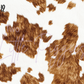 Printed Vinyl - Cowhide Collection