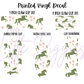Printed Vinyl - Wild Horses Collection