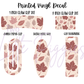 Printed Vinyl - Autumn Blush