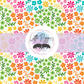 Printed Vinyl - Rainbow Flowers