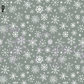 Printed Vinyl - Merry Little Christmas