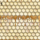 Printed Vinyl - Bumbling Bees