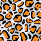 Printed Vinyl - Leopard Rainbow