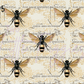 Printed Vinyl - Bumbling Bees