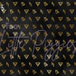 Printed Vinyl - Capricorn - Black and Gold