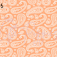 Printed Vinyl - Pastel Paisley