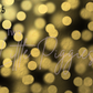 Printed Vinyl - New Years Stars