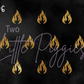 Printed Vinyl - Aries - Black and Gold