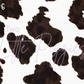 Printed Vinyl - Cowhide Collection