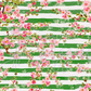 Printed Vinyl - St. Patrick's - Pink and Green