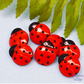 Embellishments
