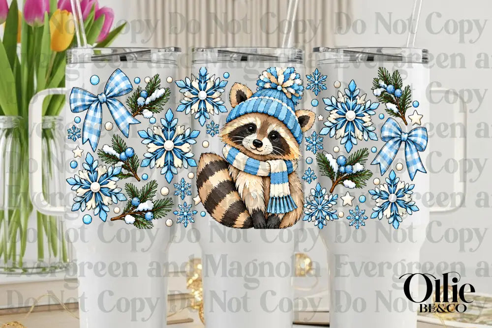 Winter Raccoon_