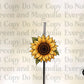 Sunflower skelly