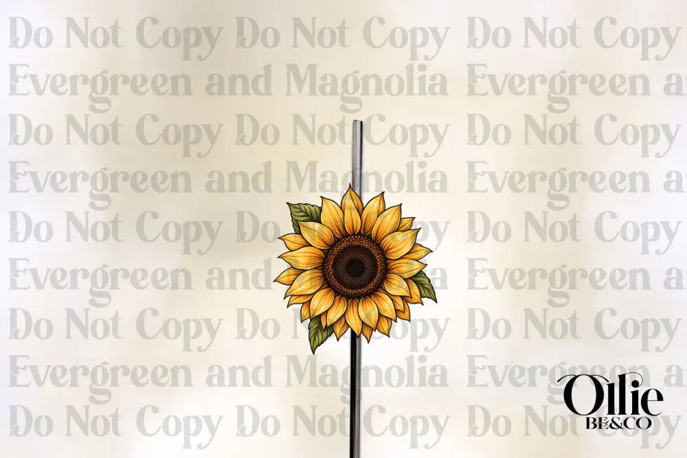 Sunflower skelly